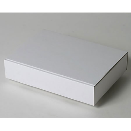 260×185×55(蓋差込N式)(白)-2