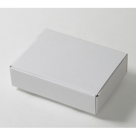 260×186×64(蓋差込N式)(白)-2