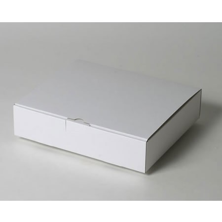 290×240×65(蓋差込N式)(白)-2