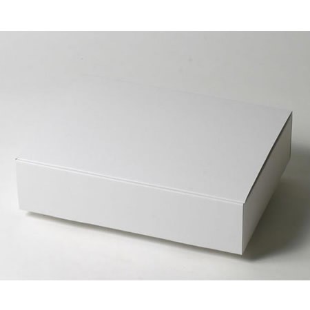 307×217×78(蓋差込N式)(白)-2