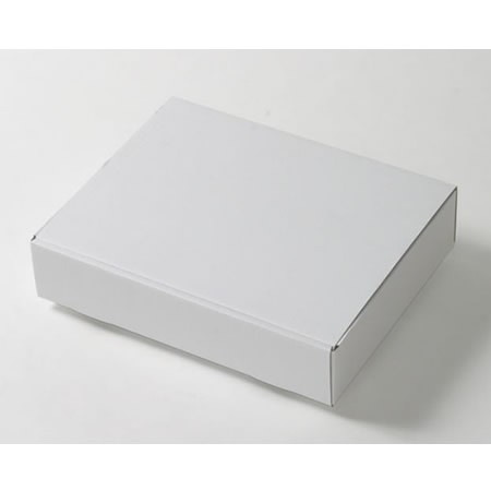 310×236×67(蓋差込N式)(白)-2