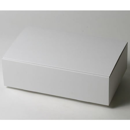 348×198×103(蓋差込N式)(白)-2