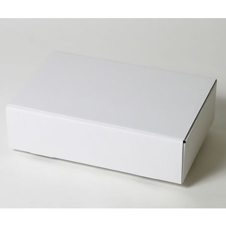 350×218×92(蓋差込N式)(白)-2