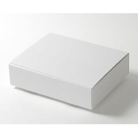 370×289×93(蓋差込N式)(白)-2