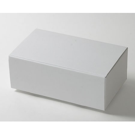 387×213×143(蓋差込N式)(白)-2