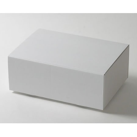 400×270×150(蓋差込N式)(白)-2