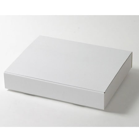 424×333×72(蓋差込N式)(白)-2