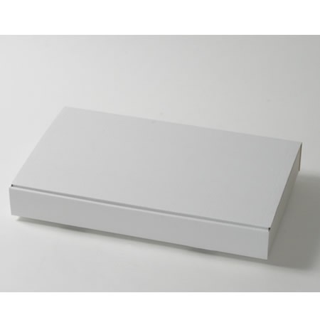 501×298×64(蓋差込N式)(白)-2