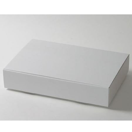 505×325×95(蓋差込N式)(白)-2