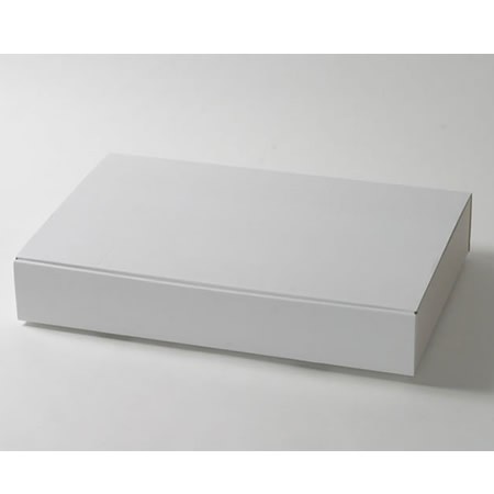 574×383×92(蓋差込N式)(白)-2