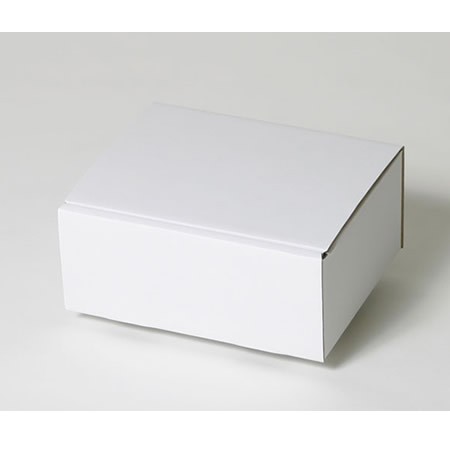 210×160×90(蓋差込N式)(白)-2