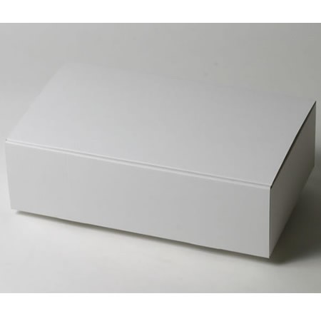 360×210×120(蓋差込N式)(白)-2