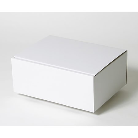 325×239×133(蓋差込N式)(白)-2