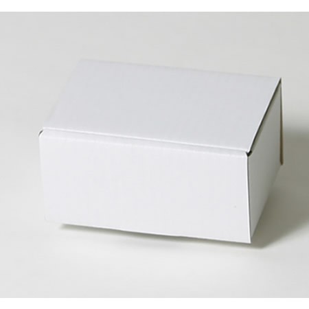 125×75×60(蓋差込N式)(白)-2