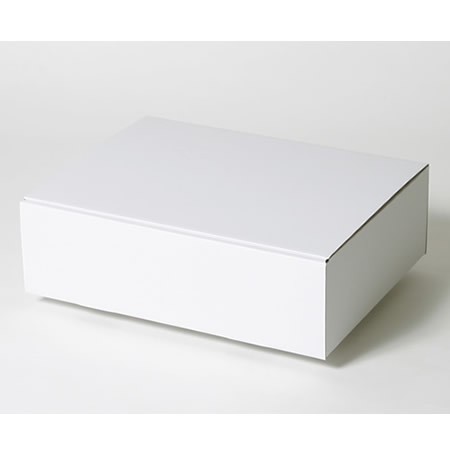 370×280×110(蓋差込N式)(白)-2