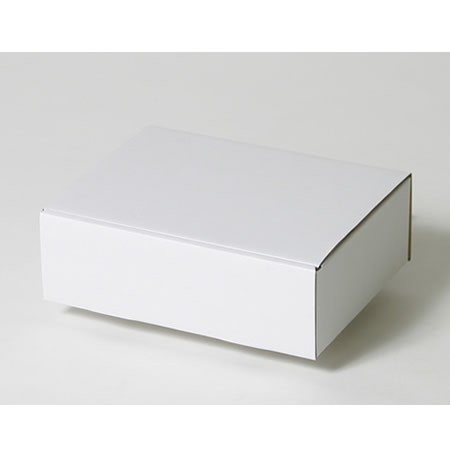 220×159×70(蓋差込N式)(白)-2