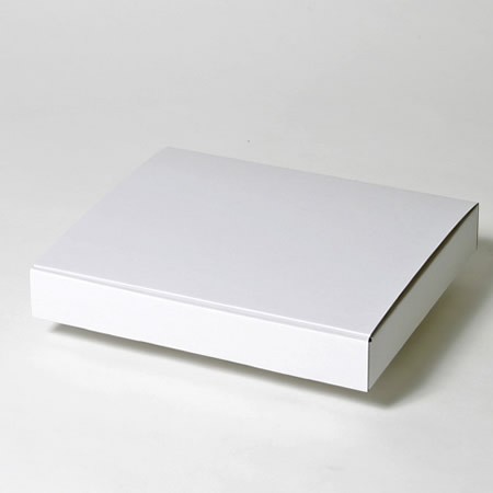 300×250×40(蓋差込N式)(白)-2