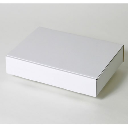 310×215×55(蓋差込N式)(白)-2