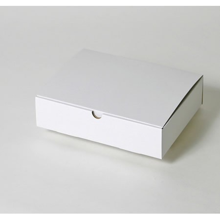 240×180×53(蓋差込N式)(白)-2