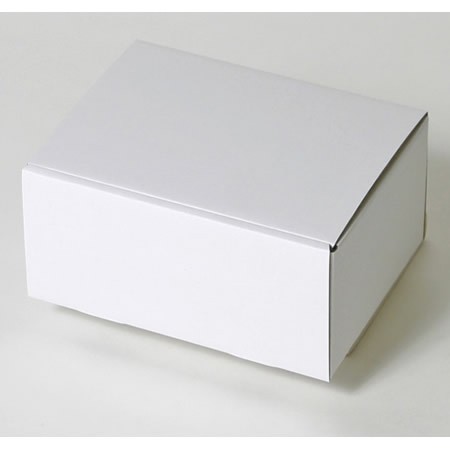 221×155×80(蓋差込N式)(白)-2