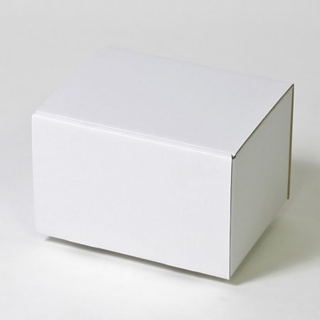 231×170×145(蓋差込N式)(白)-2