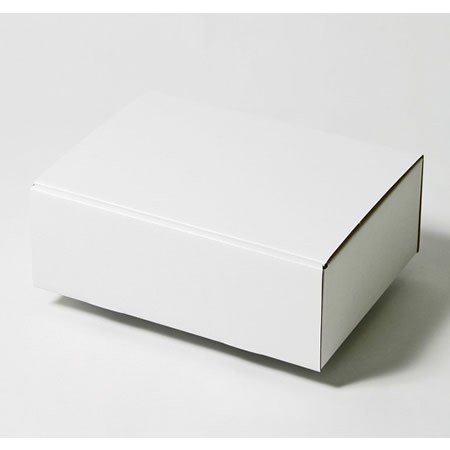 290×210×90(蓋差込N式)(白)-2