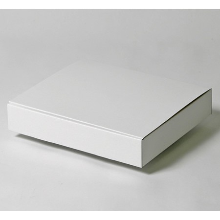 300×250×52(蓋差込N式)(白)-2