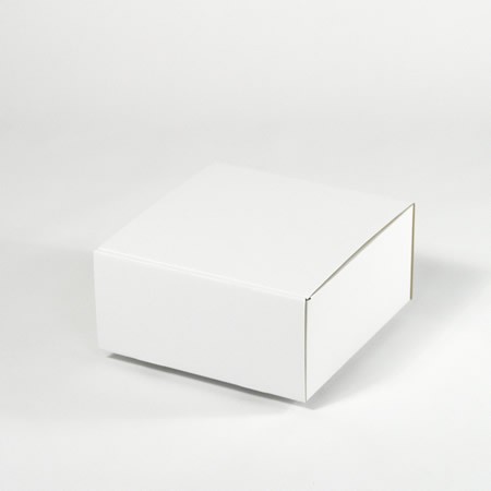 275×275×130(蓋差込N式)(白)-2