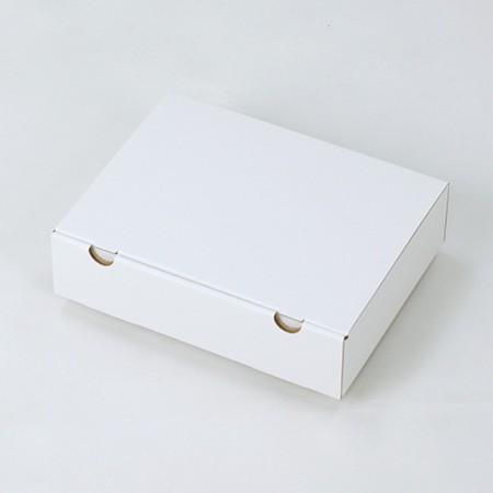 218×161×54(蓋差込N式)(白)-2