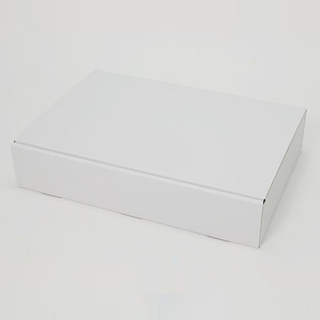 458×310×90(N式差込箱)(白)-2