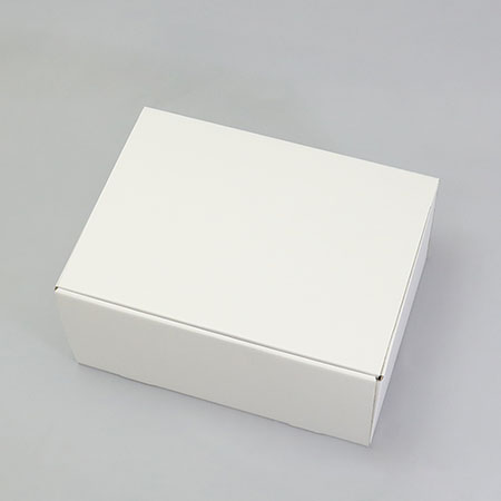 425×302×200(N式差込)(白)-2