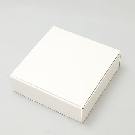 345×335×100(N式差込)(白)-2