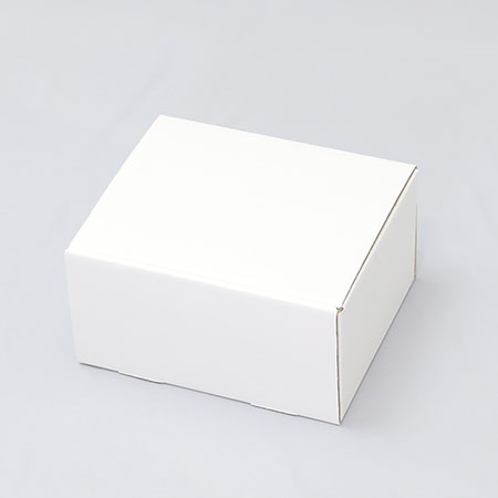 230×180×118(N式差込)(白)-2