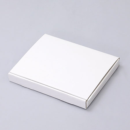 270×205×30(N式差込)(白)-2