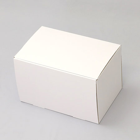 270×165×170(N式差込)(白)-2