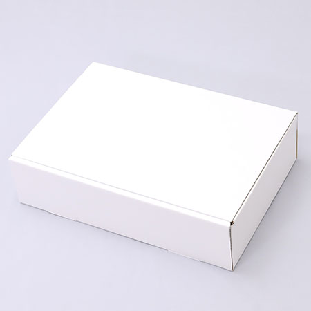 430×290×110(N式差込)(白)-2