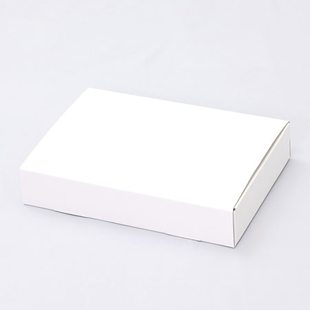 260×175×48(N式差込)(白)-2