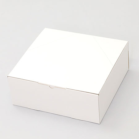 320×300×120(N式差込)(白)-2