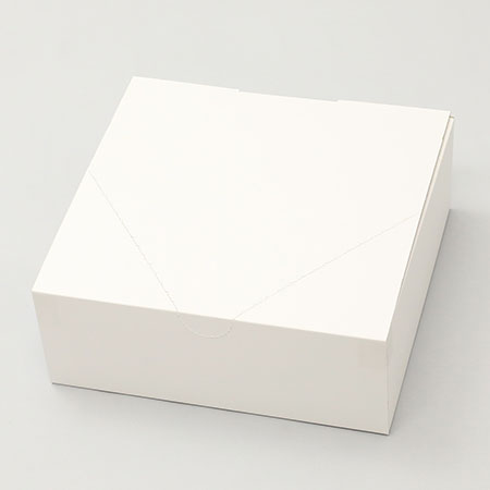 320×300×120(N式差込)(白)-3