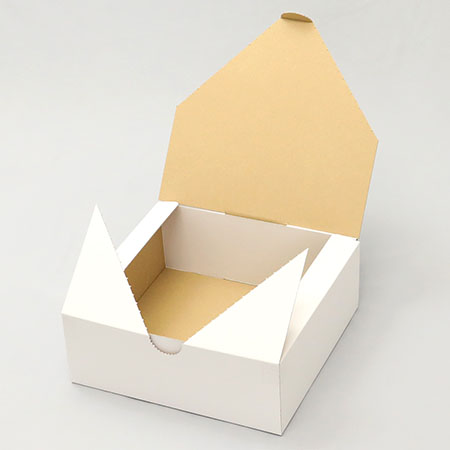 320×300×120(N式差込)(白)-4