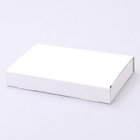 300×173×43(N式差込)(白)-2