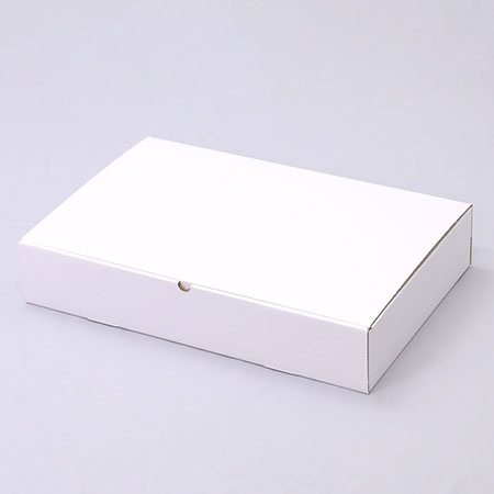 550×350×100(N式差込)(白)-2