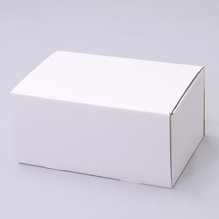 299×185×144(N式差込)(白)-2