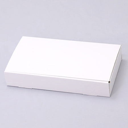 302×160×50(N式差込)(白)-2