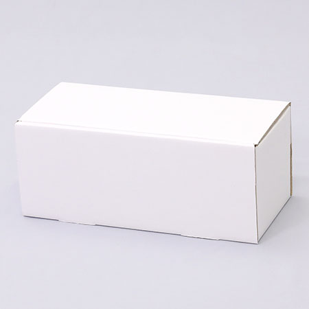 252×105×99(N式差込)(白)-2