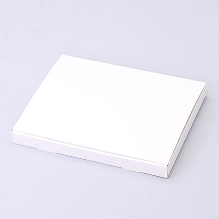 340×250×31(N式差込)(白)-2