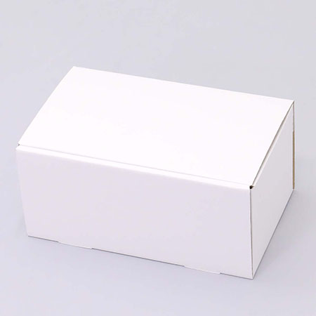 325×190×150(N式差込)(白)-2