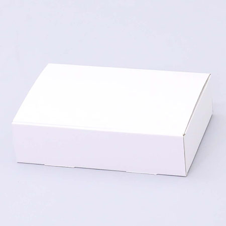 225×145×58(N式差込)(白)-2