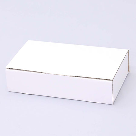 310×166×70(N式差込)(白)-2