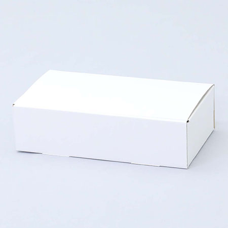 218×113×57(N式差込)(白)-2